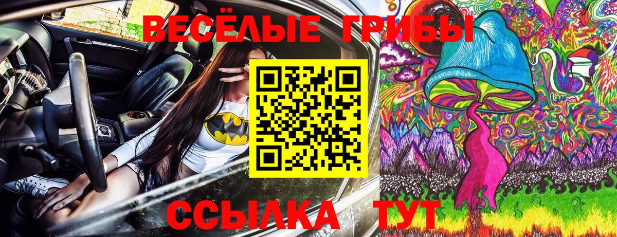 Псилоцибиновые грибы Magic Shrooms Мурманск