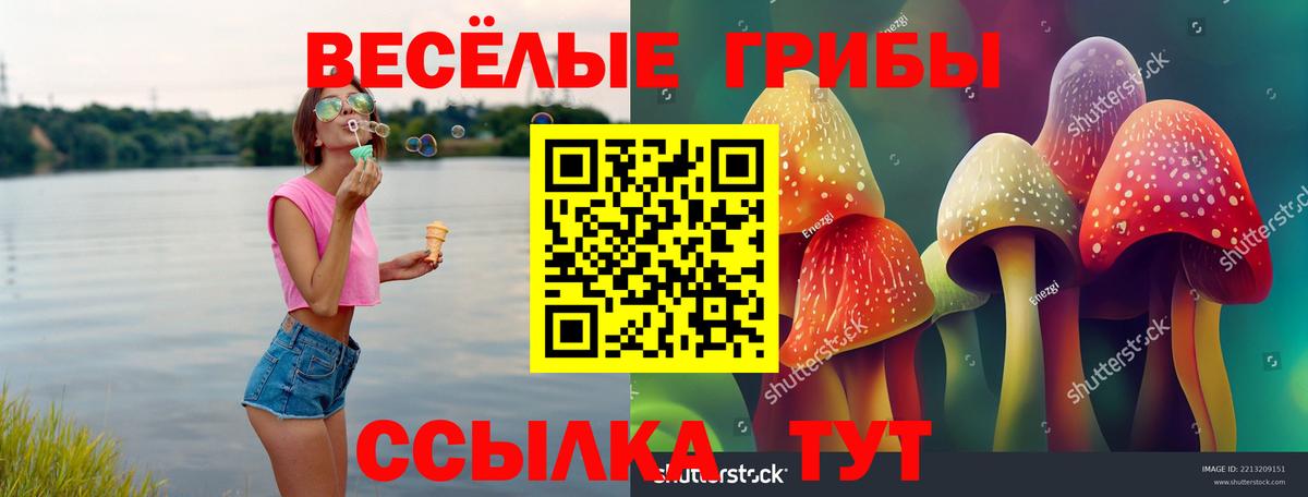Псилоцибиновые грибы Cubensis  где купить наркоту  Мурманск  Вход с VPN 